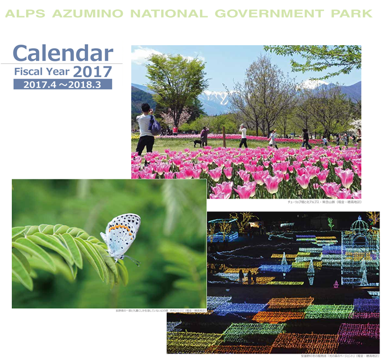 国営アルプスあづみの公園 公園の四季カレンダー