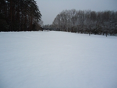 DSC00503