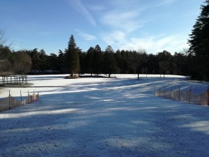 2020年1月16日の積雪状況