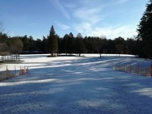 2020年1月16日の積雪状況