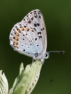 s-01