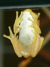 s-01