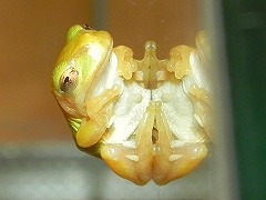s-02