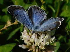 s-02