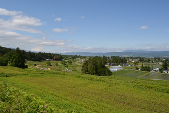 里山文化ゾーン