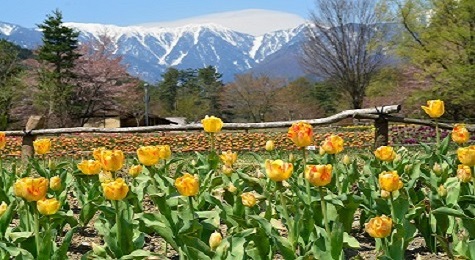 穂高・堀金地区